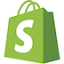 Shopify Payment