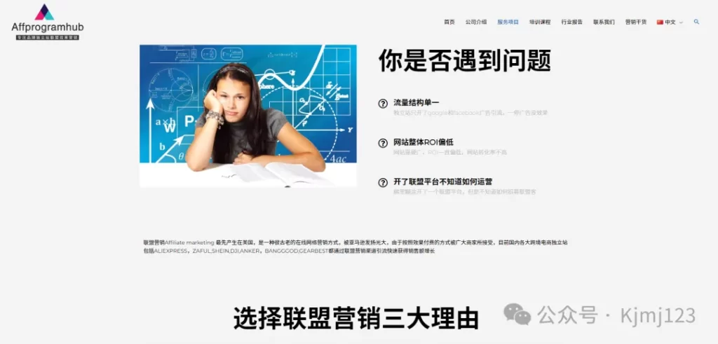 AffProgramHub – 中国专注DTC品牌独立站海外联盟营销代理服务商插图2