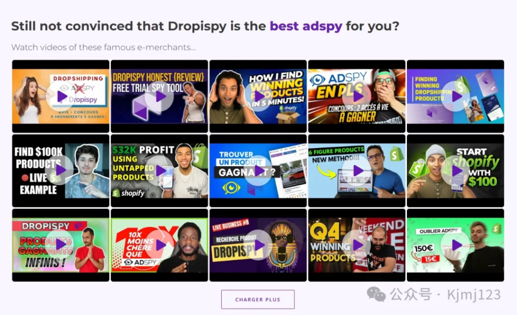 Dropispy – 专为Dropshippers设计的广告监控工具插图2