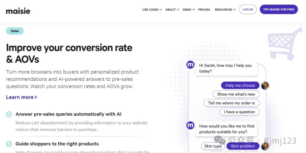 Maisie AI – 专为电子商务所有者打造的AI智能数字助理解决方案插图3