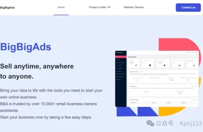 BigBigAds – 跨境电商广告素材的智能监控工具缩略图