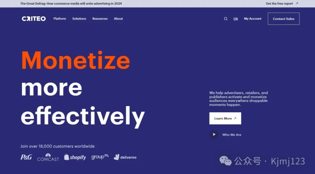 Criteo – 跨境广告投放平台插图
