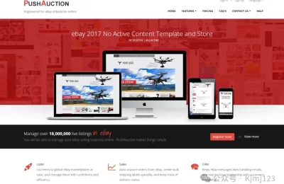 PushAuction – eBay卖家销售业务管理工具缩略图